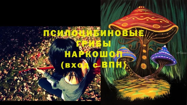соль ск Зерноград