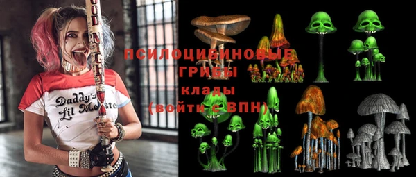 ГАЛЛЮЦИНОГЕННЫЕ ГРИБЫ Заводоуковск
