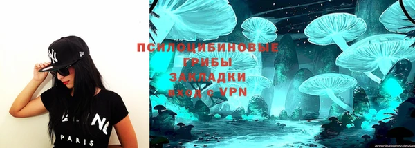 ГАЛЛЮЦИНОГЕННЫЕ ГРИБЫ Заводоуковск
