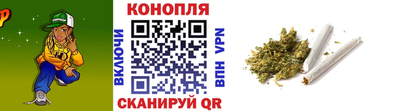 Марихуана сатива  Купить закладки  Камбарка 